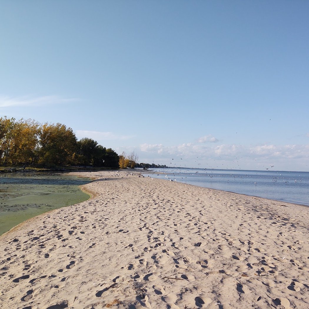 Bay City State Park 2