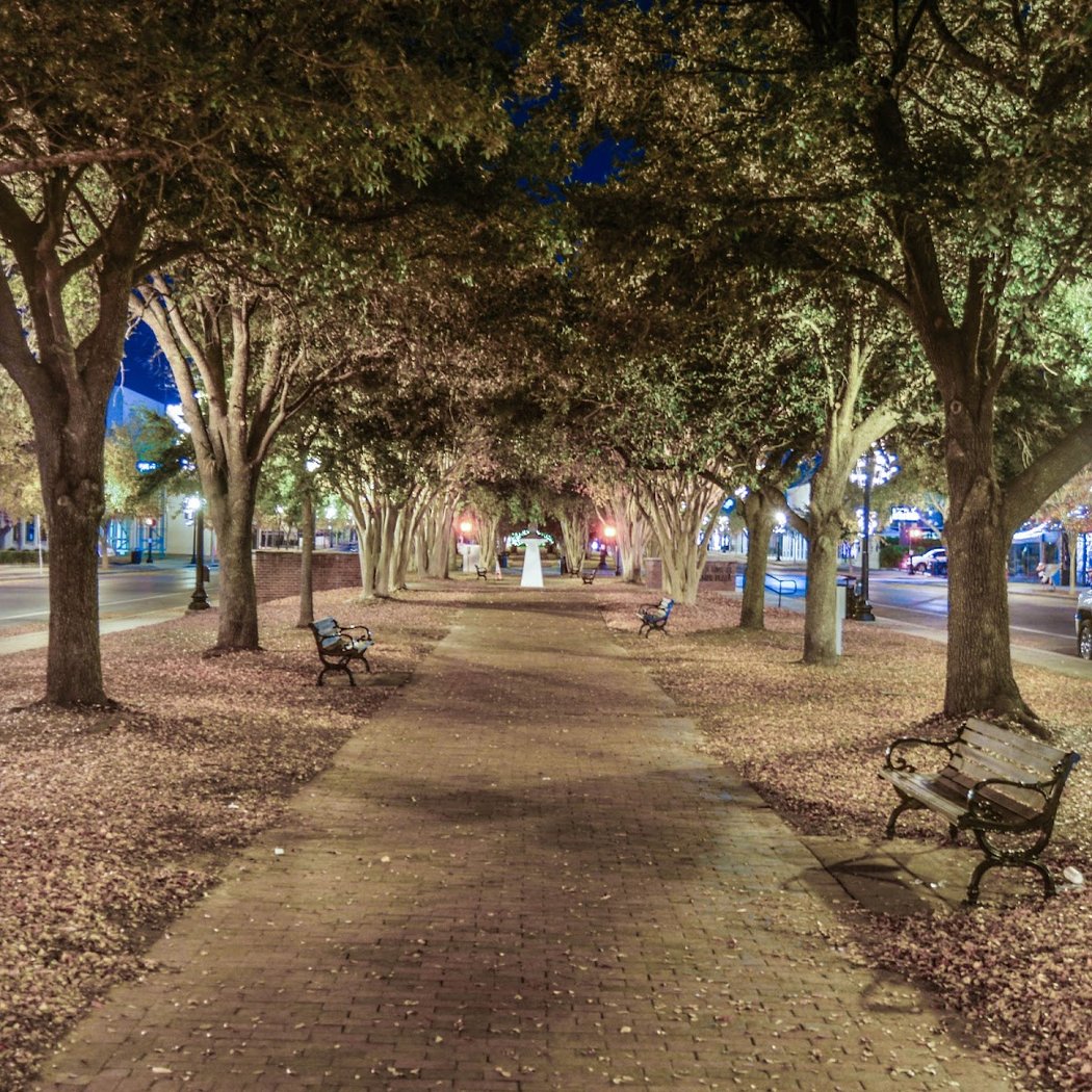 Dr. Martin Luther King Jr. Plaza 2