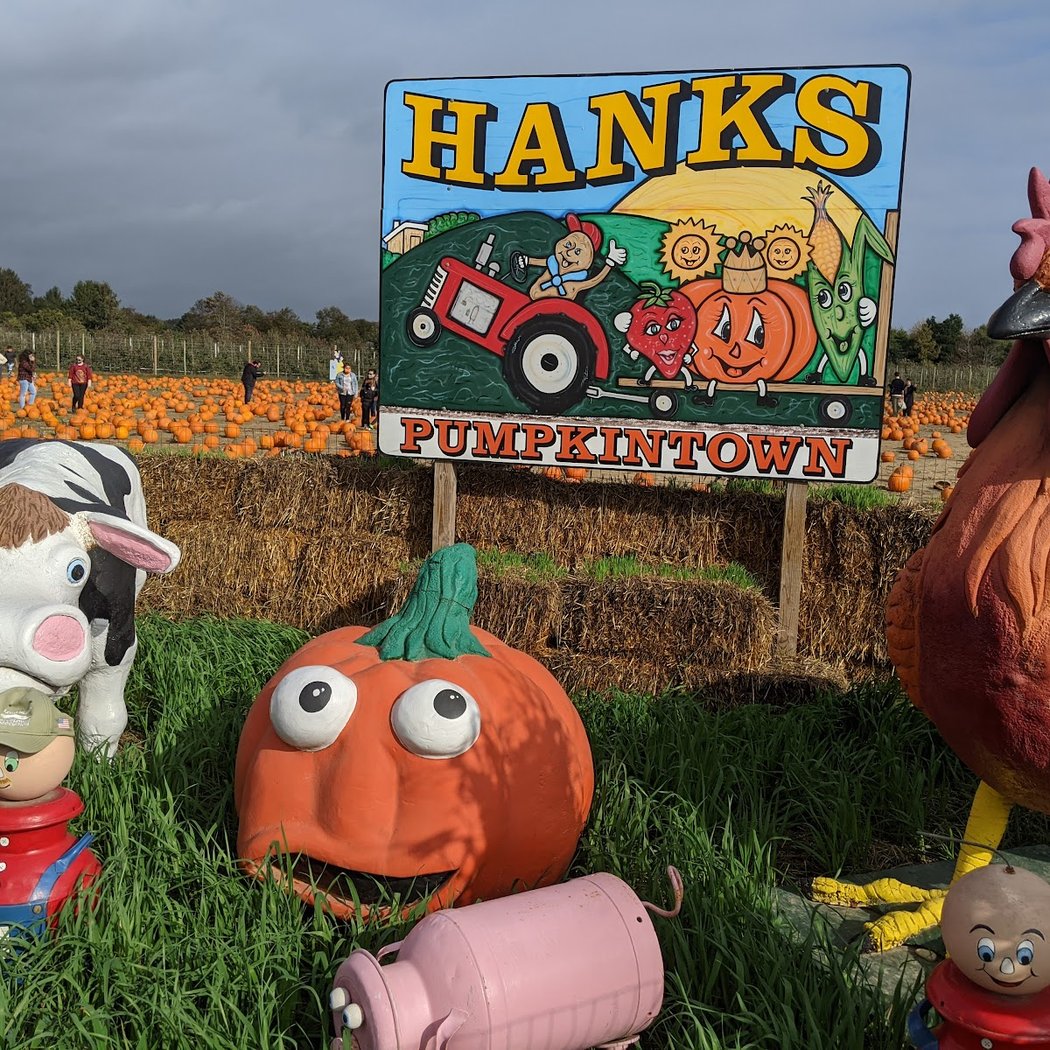 Hank's Pumpkintown 4