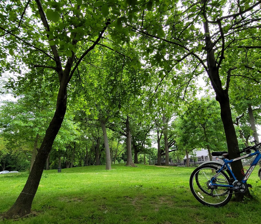 Cunningham Park Bike Trail 1