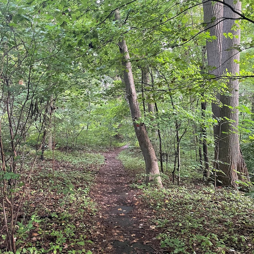 Cunningham Park Southeast Preserve Trail - Trailhead 2