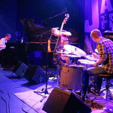 Gogo Penguin 1