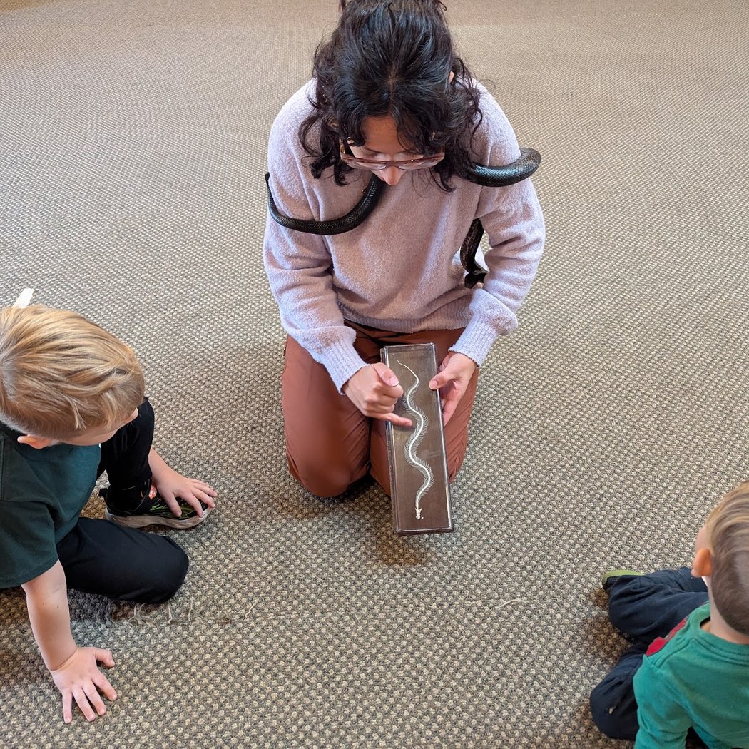Wildlife Play Days 2