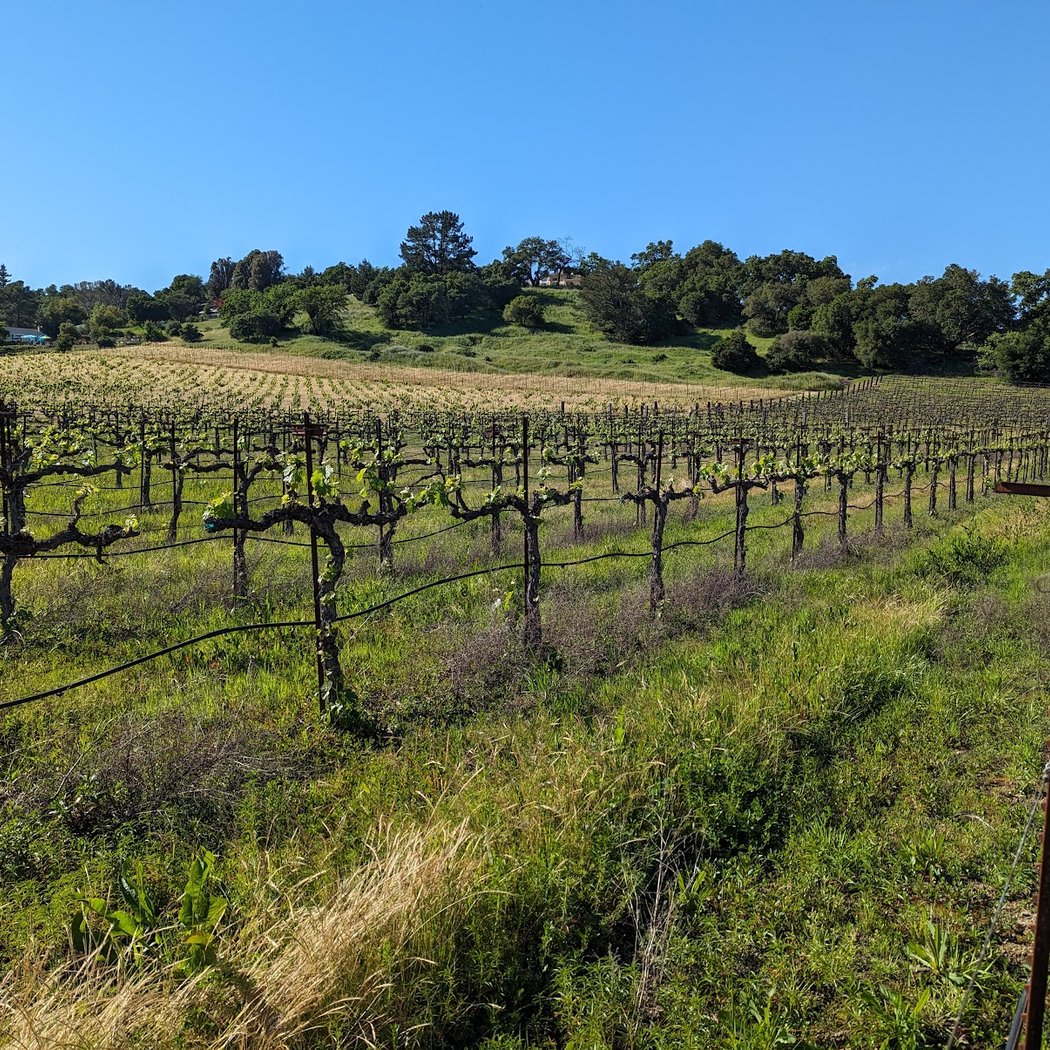 Fortino Winery’s Fall Market 3
