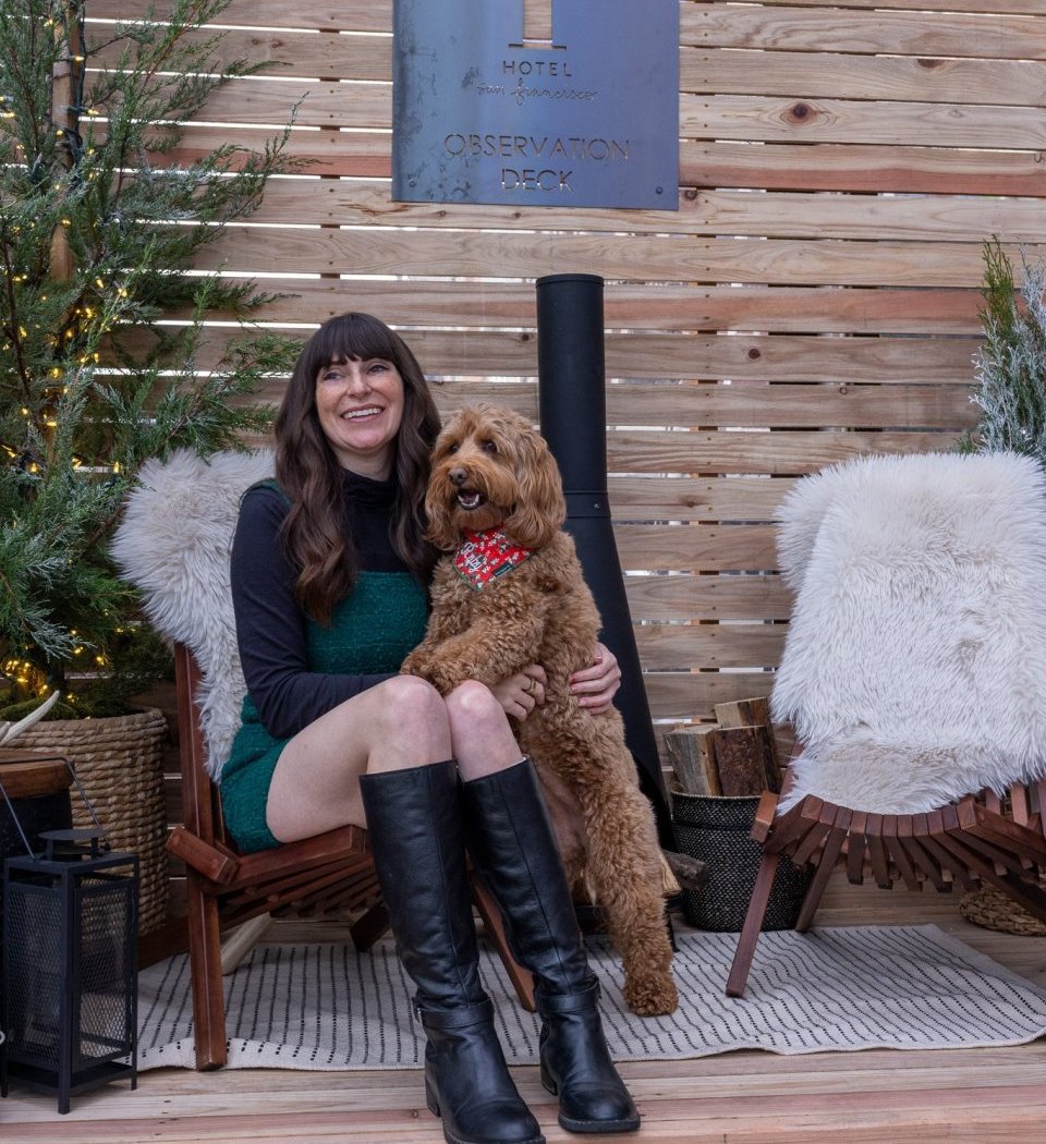 Northern Lights Festive Pop-Up 1