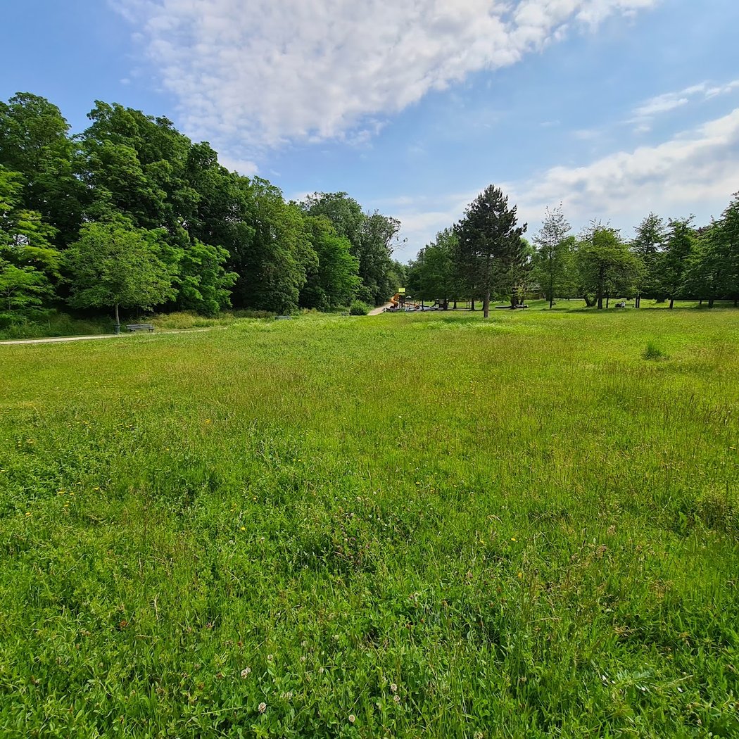 Parc des Saules 2