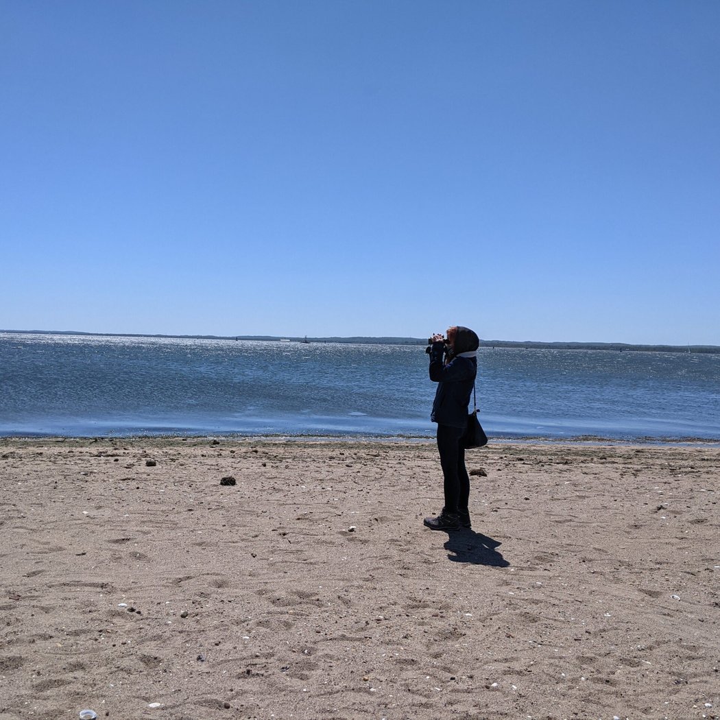Bird and Nature Walk: Wolfe’s Pond Park