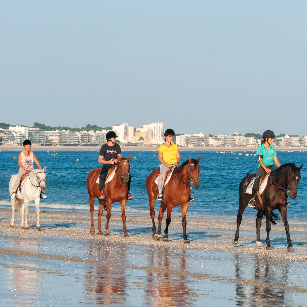 Stages d'équitation (double poney) 2