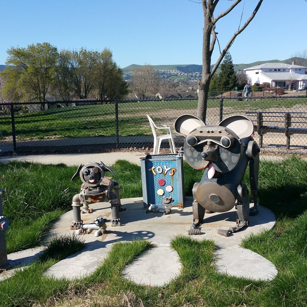 Dougherty Hills Dog Park 1
