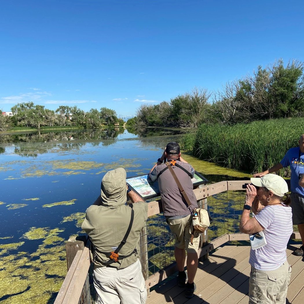 Monthly Bluff Lake Bird Walks 4