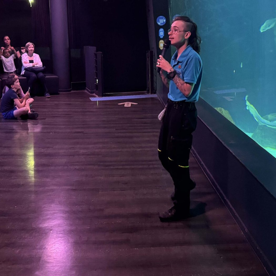Le monde des requins 1