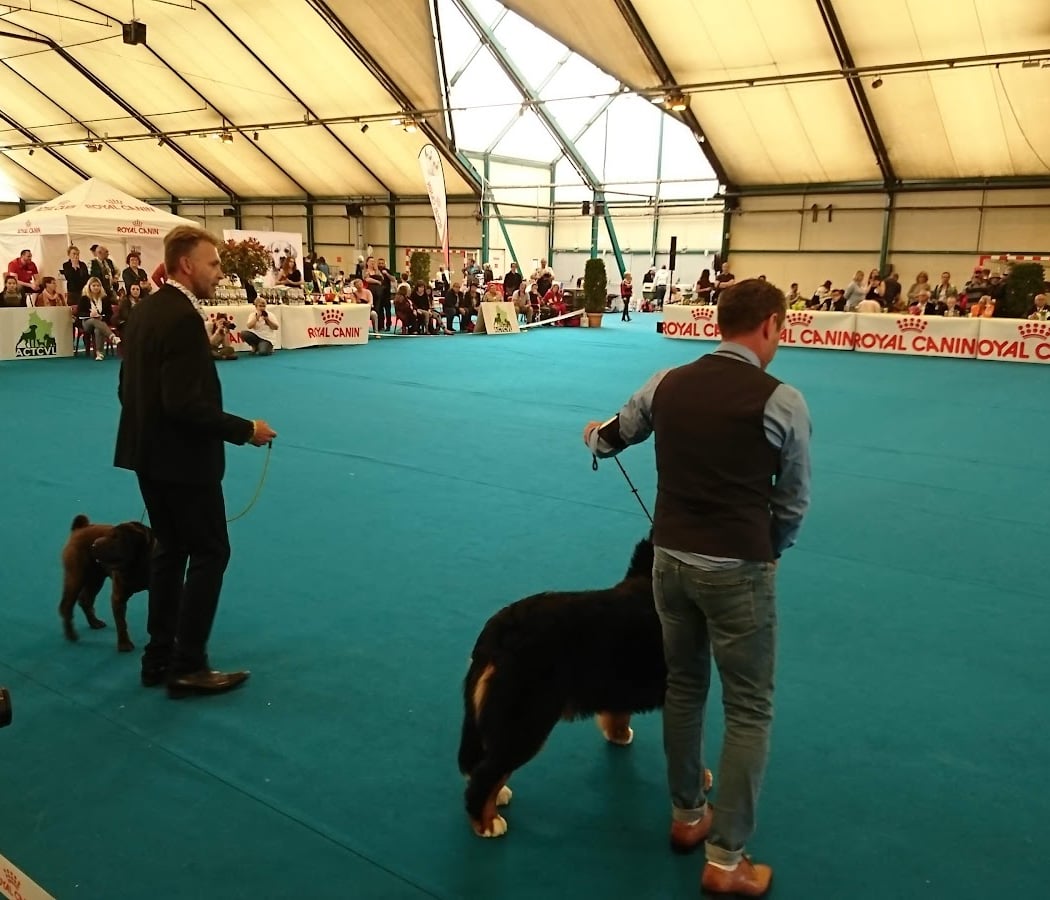 Hall des Expositions de Belle-Isle 3