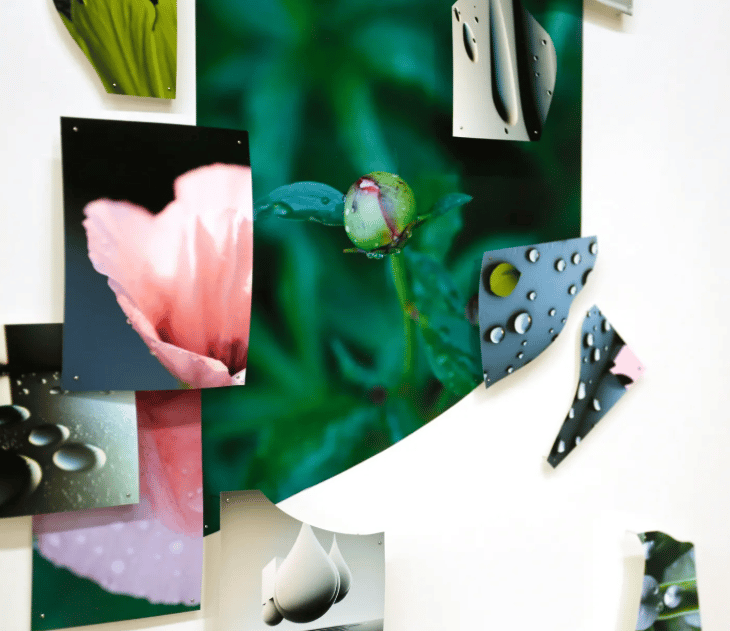 Self as Water, Water as Mirror — Rencontre avec l’artiste Sanaz Mazinani en conversation avec Golzar Yousefi 1