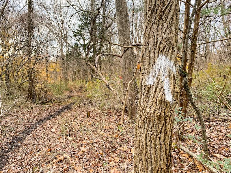 Muttontown Preserve 2
