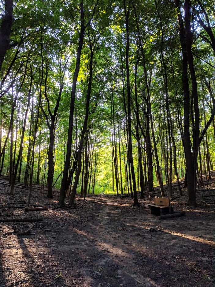 Bird Hills Nature Area 2