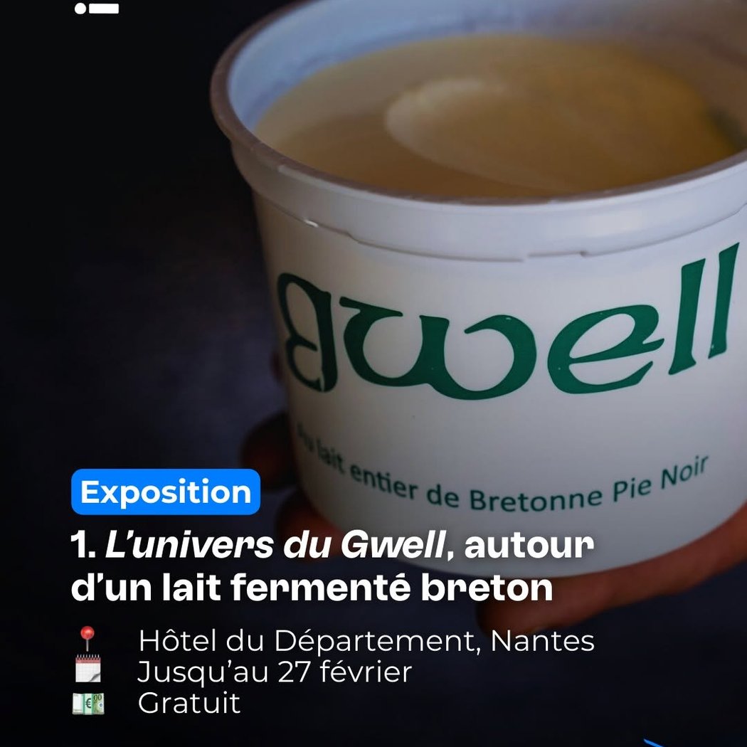 L'univers du Gwell, autour d'un lait fermenté breton 1