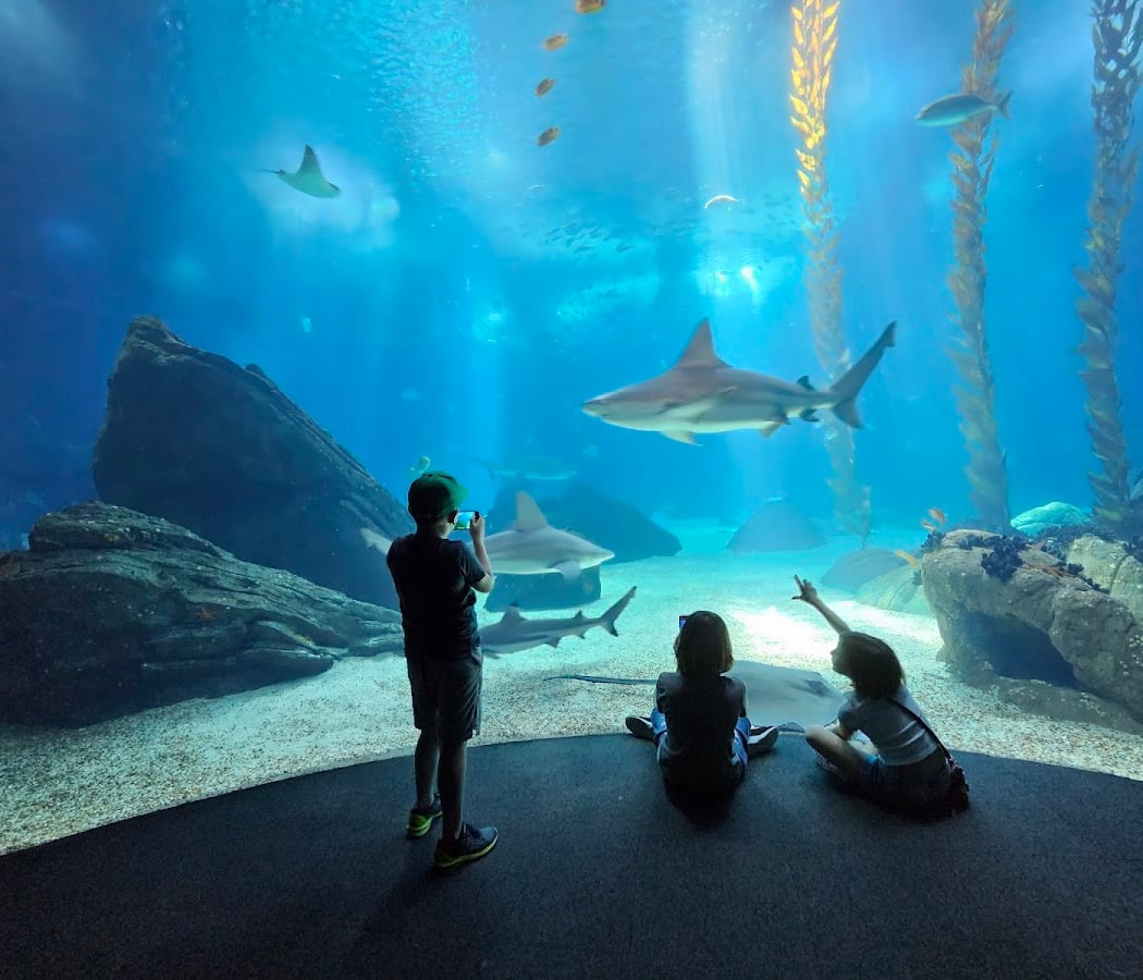 Oceanário de Lisboa 1