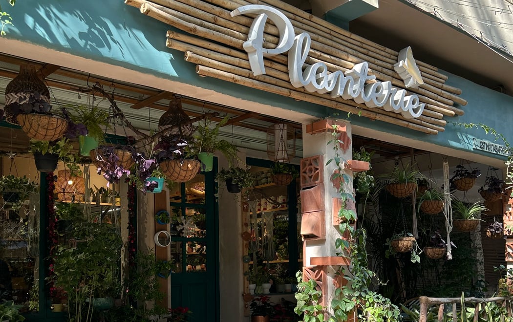 Jazz Night at Planterie 2