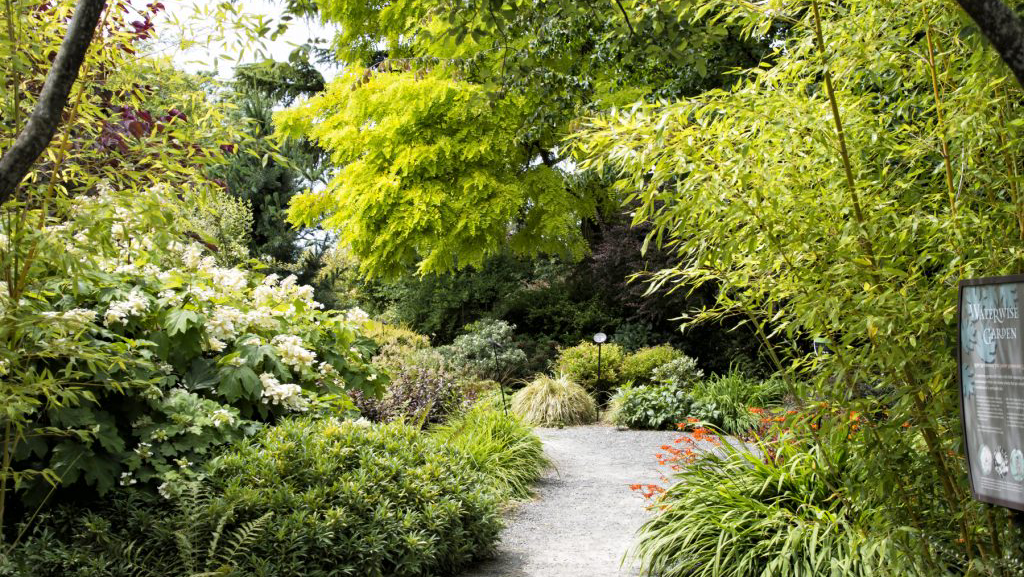 Bellevue Botanical Garden 2