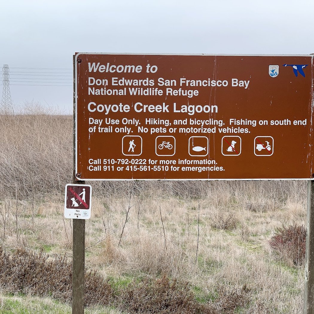 Coyote Creek Lagoon Trail 2