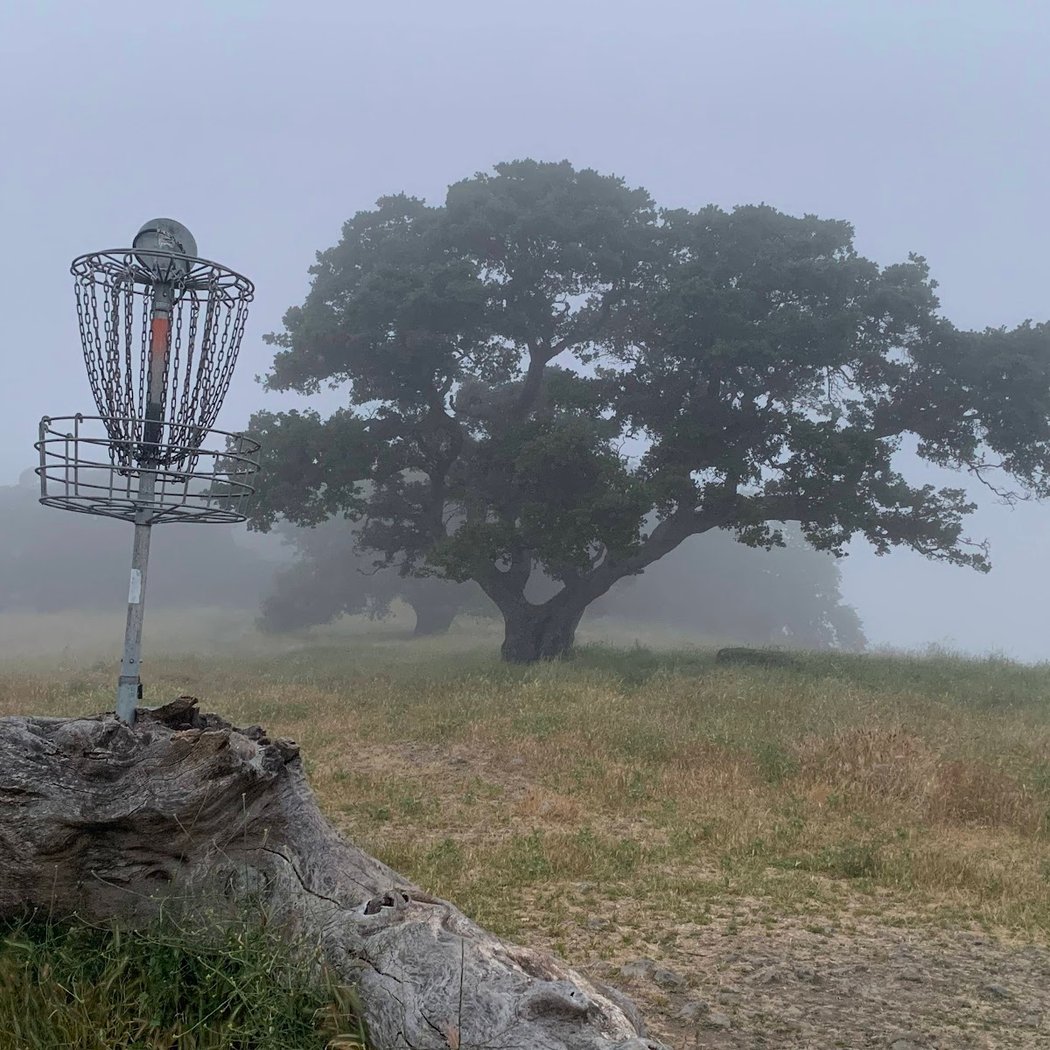 Taylor Mountain Disc Golf Course 1