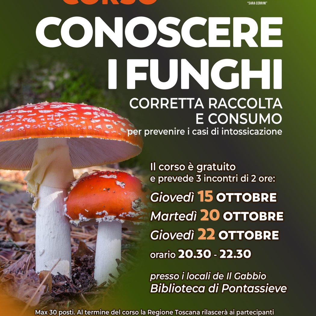 Conoscere i funghi 1