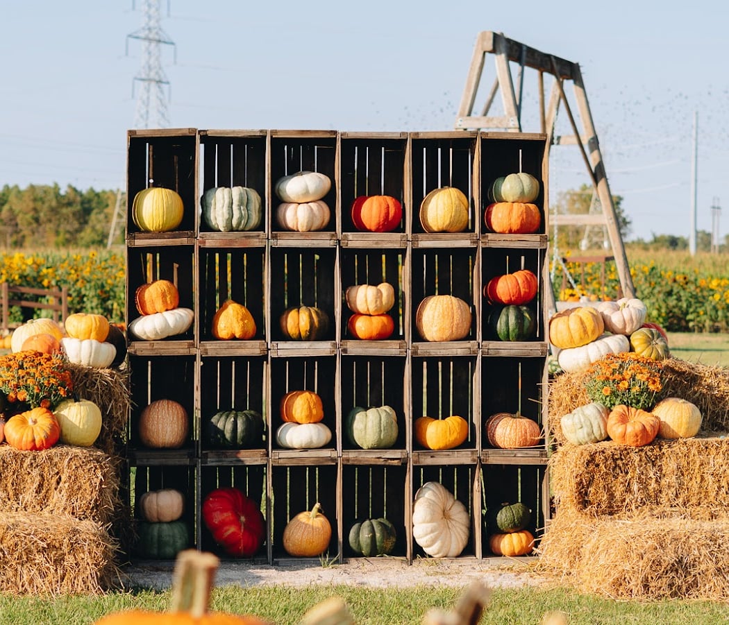 Kackleberry Farms 3