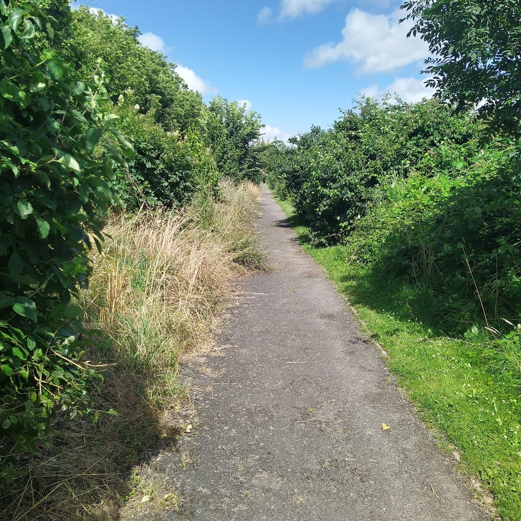 Chemin bord de Loire: Bateliers à Malakoff 1