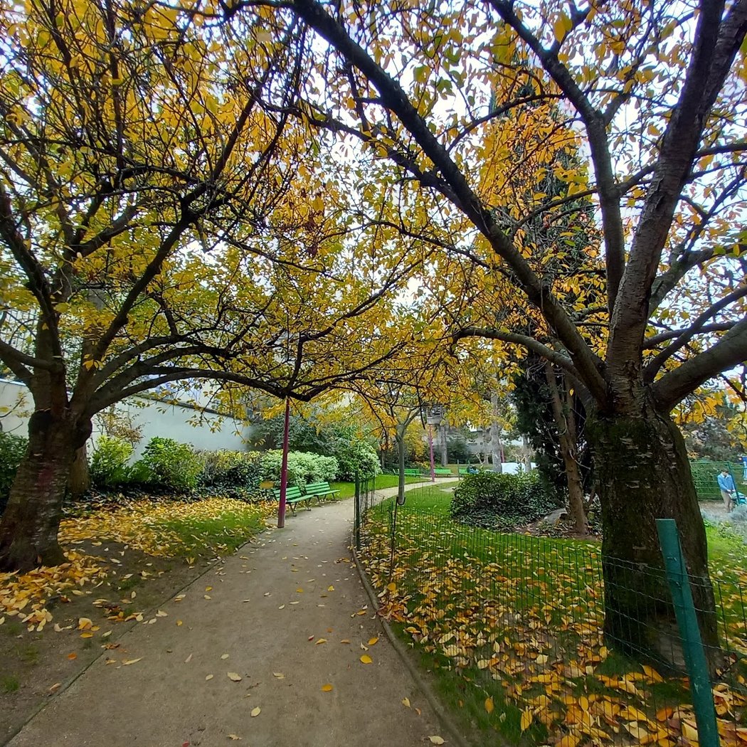 Brassaï Garden 3