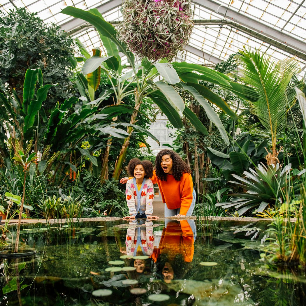 Matthaei Botanical Gardens 1
