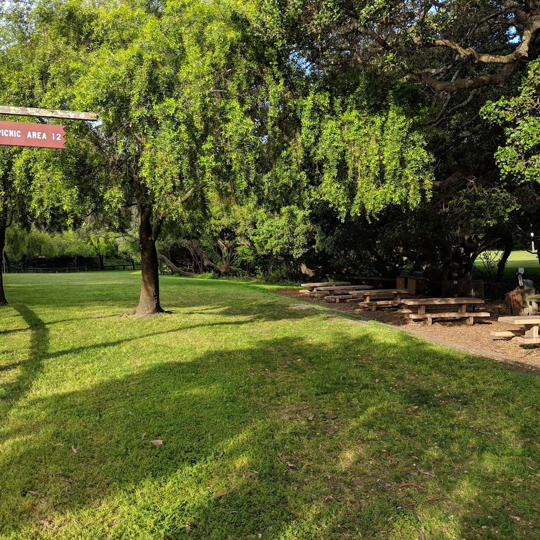 San Bruno City Park (Picnic Area #12) 1