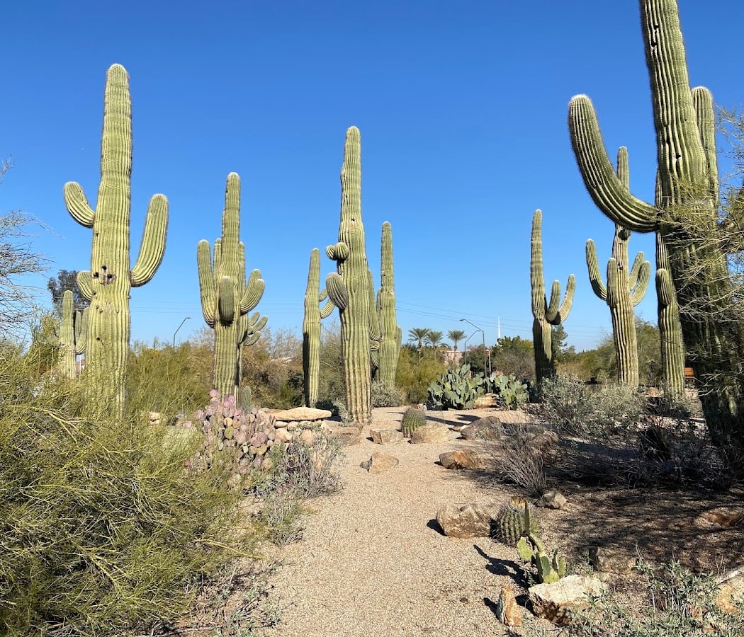 Gilbert Riparian Observatory 1