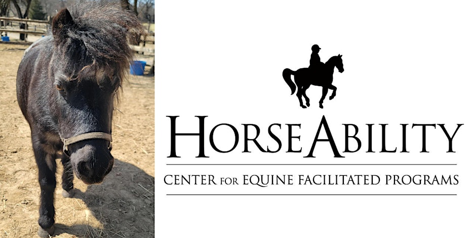 MOCAKIDS Meet & Greet with a Miniature Horse from HorseAbility & MOCACREATE with Teaching Artist Yu Rong 1