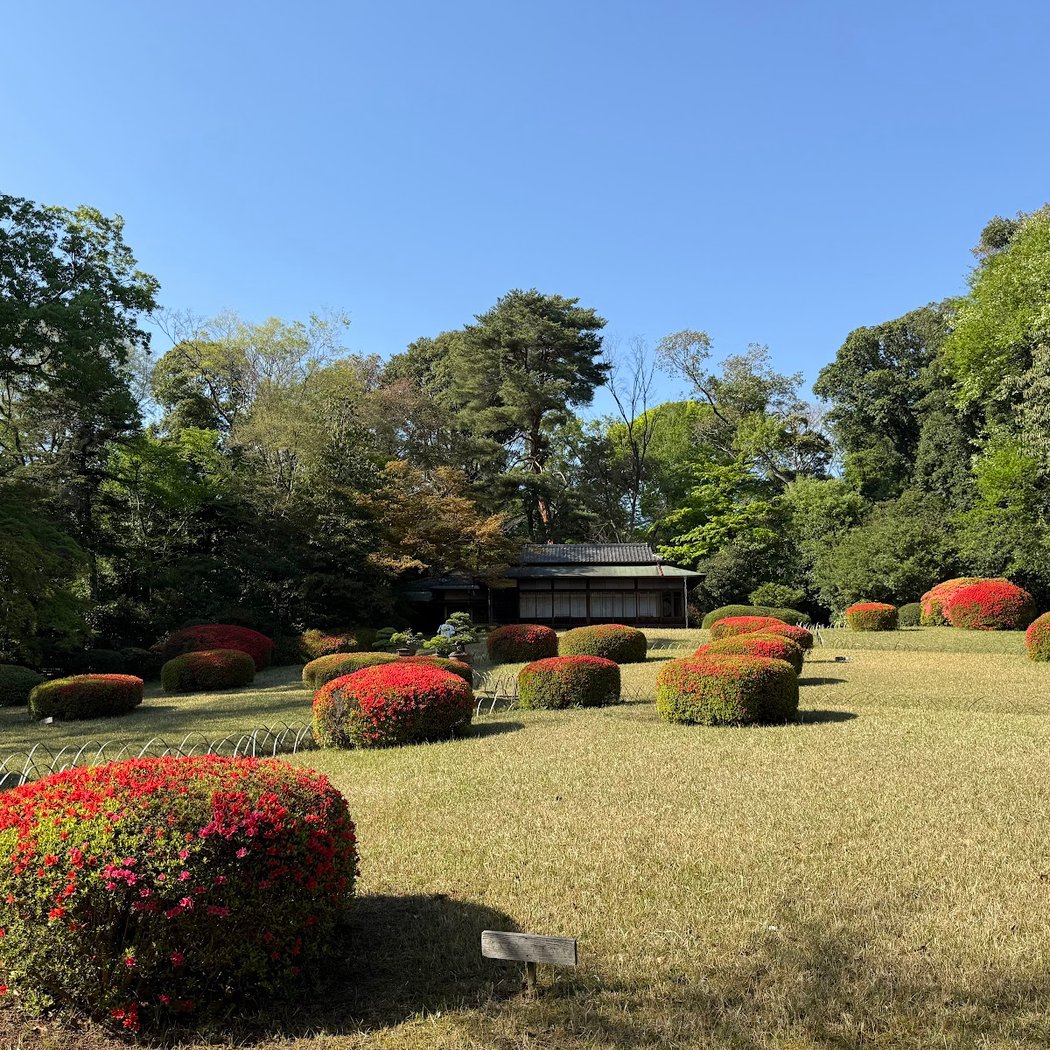 Meiji Jingu Gyoen 3