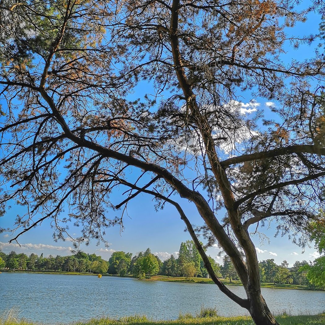 Lac de Belle-Isle 1