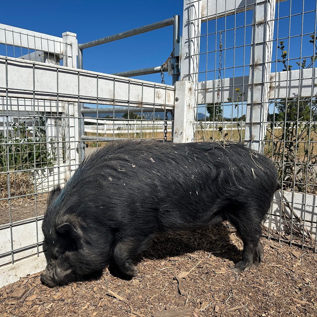 Grazing Board Workshop 3