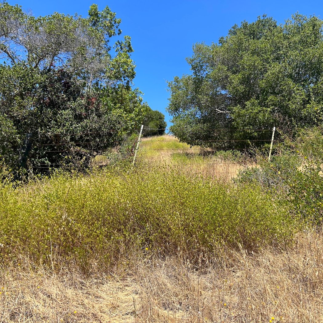 Sawyer Camp Trail South Trailhead 3