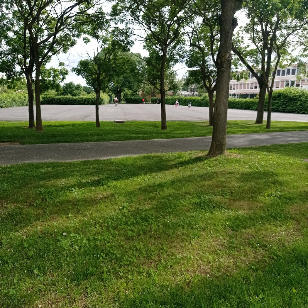Parc du moulin de la Bièvre 3