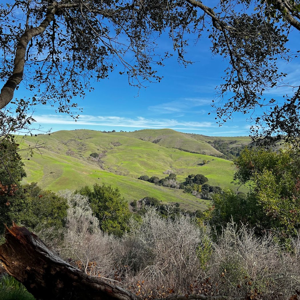 Alvarado Park 1