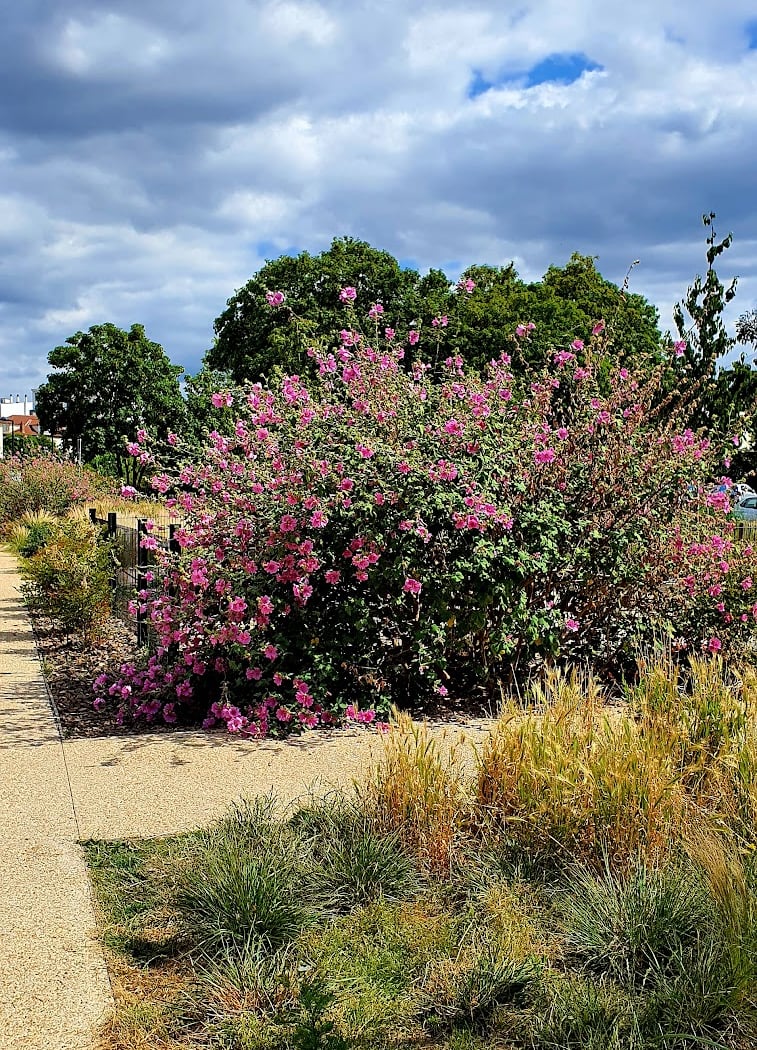 La Promenade Verte 3