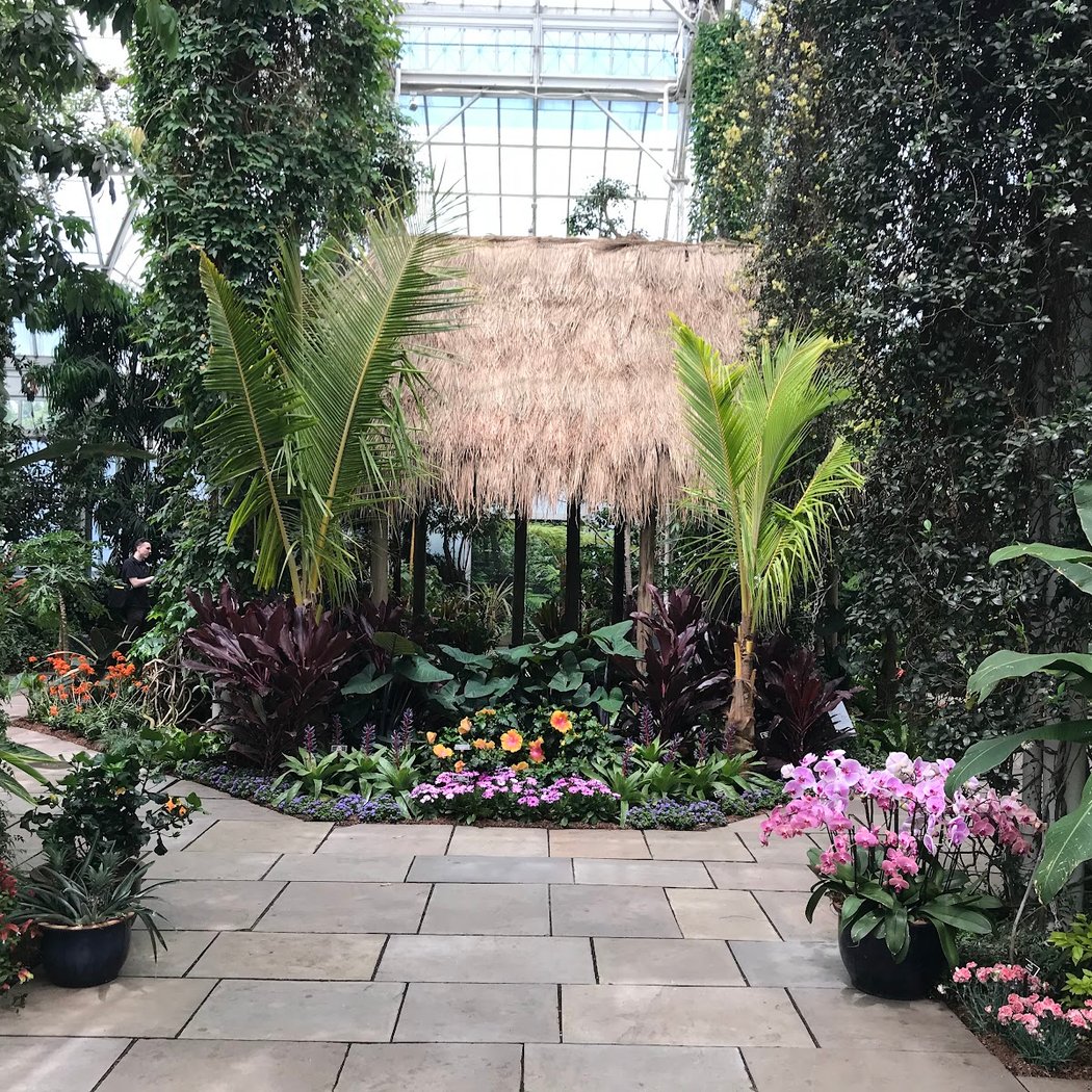 The Orchid Show: Mr. Flower Fantastic’s Concrete Jungle 3