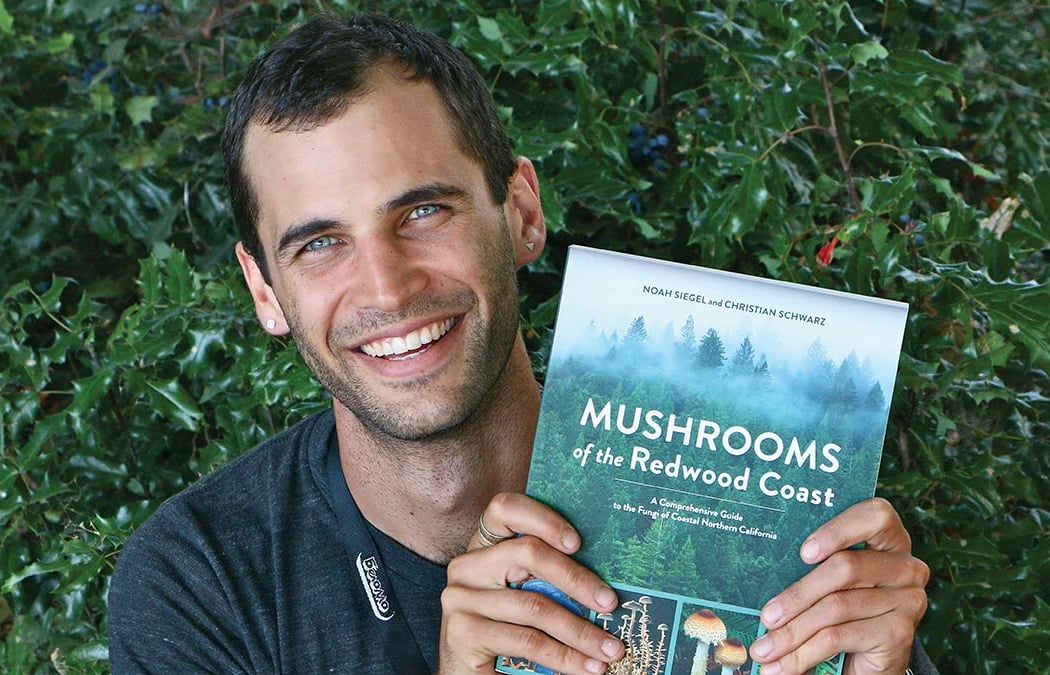 Stories in Bloom: Christian Schwarz 1
