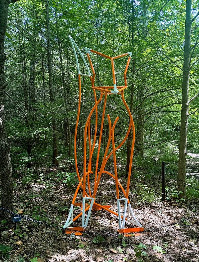 Forest Forms 1