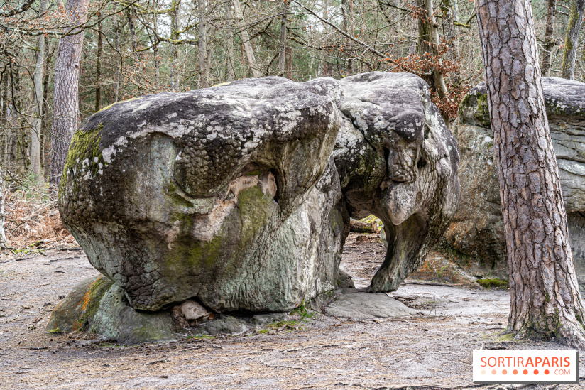 Rocher De L'Éléphant 1