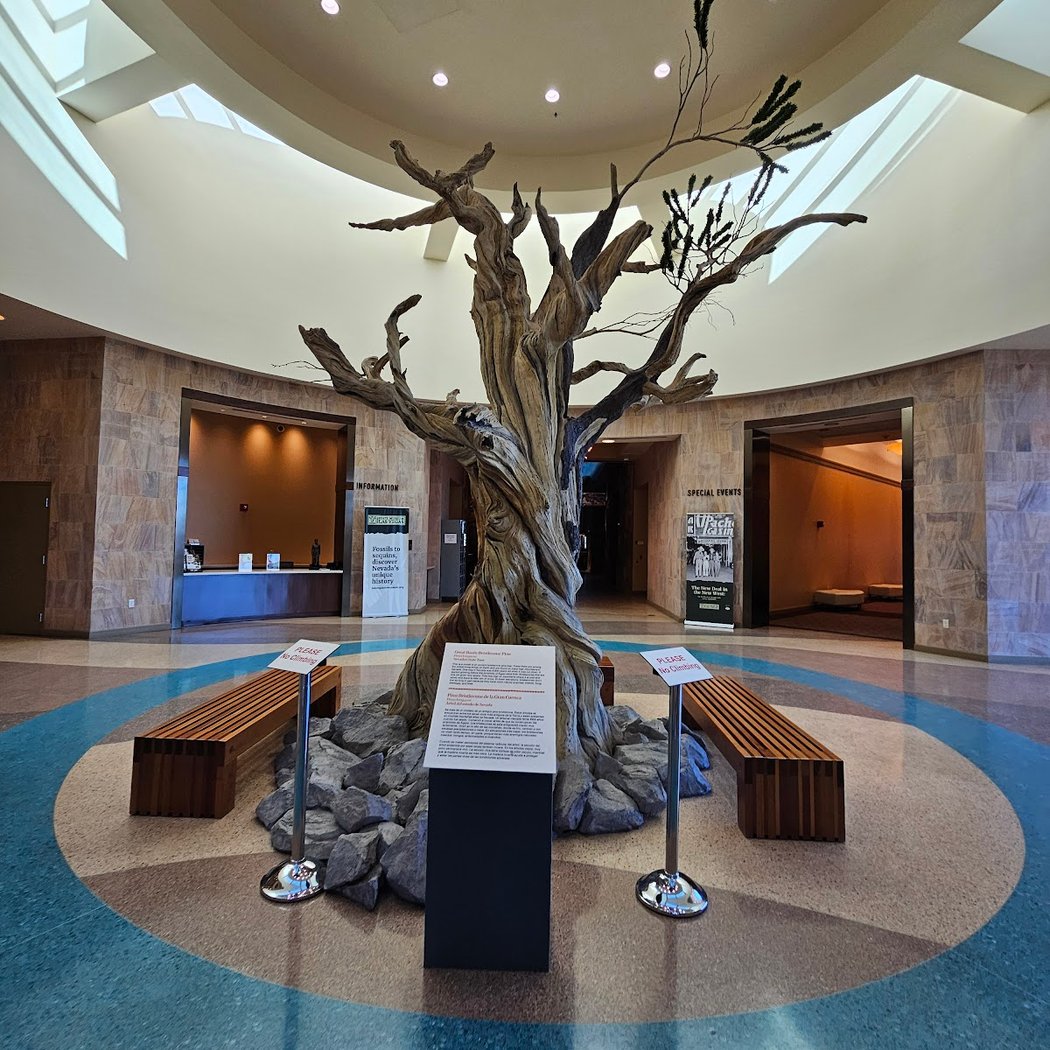Nevada State Museum, Las Vegas 2