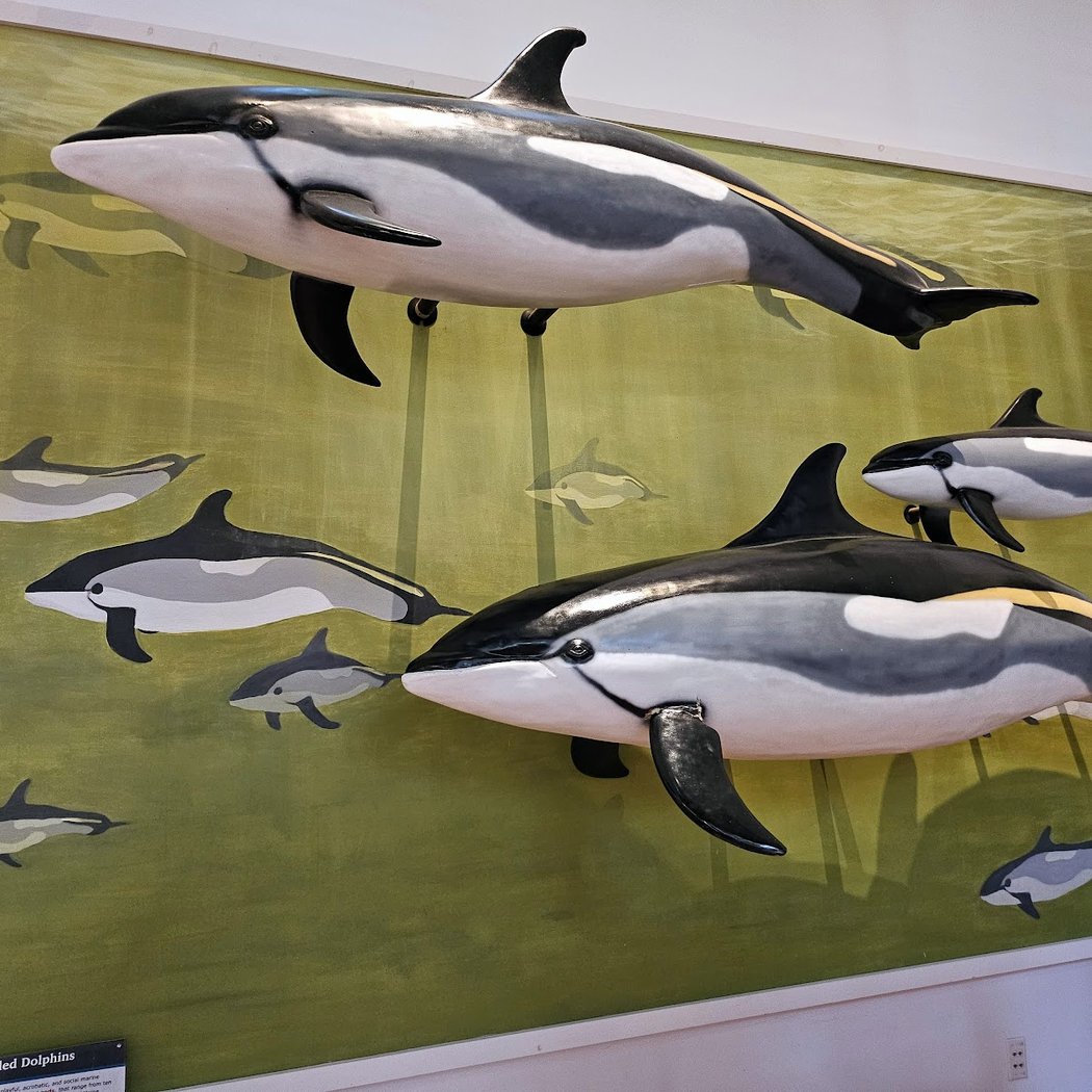 George B. Dorr Museum of Natural History 3