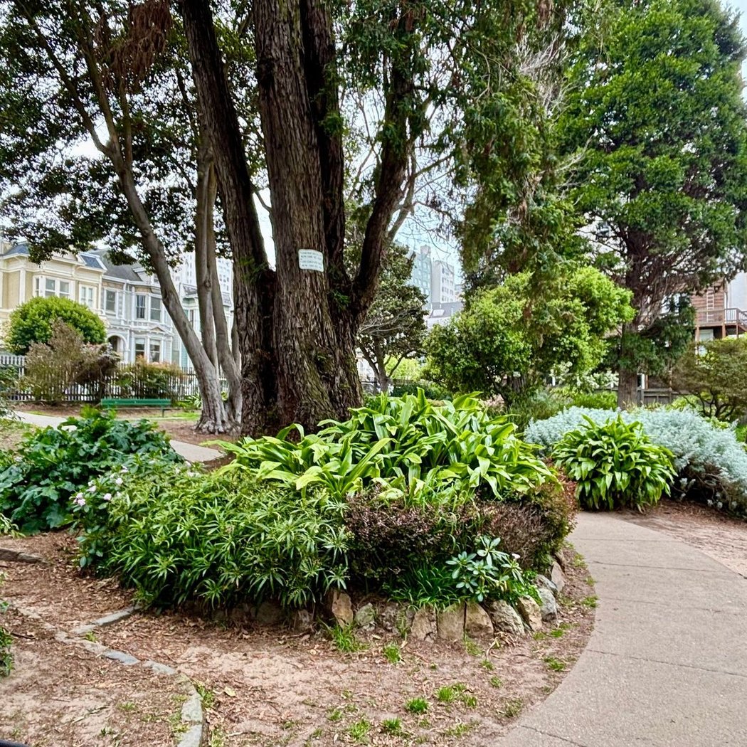 Russian Hill Pl 2