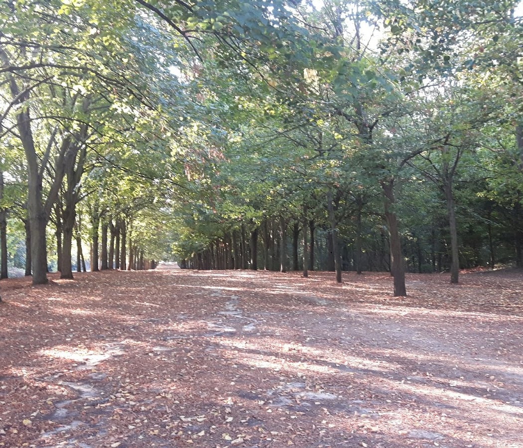 24H VTT de CERGY 2