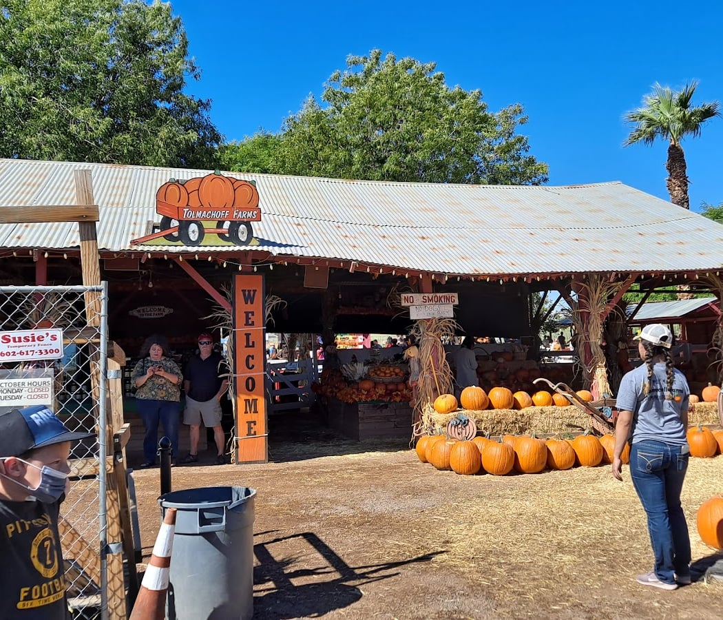 Tolmachoff Farms Pumpkin Patch 2