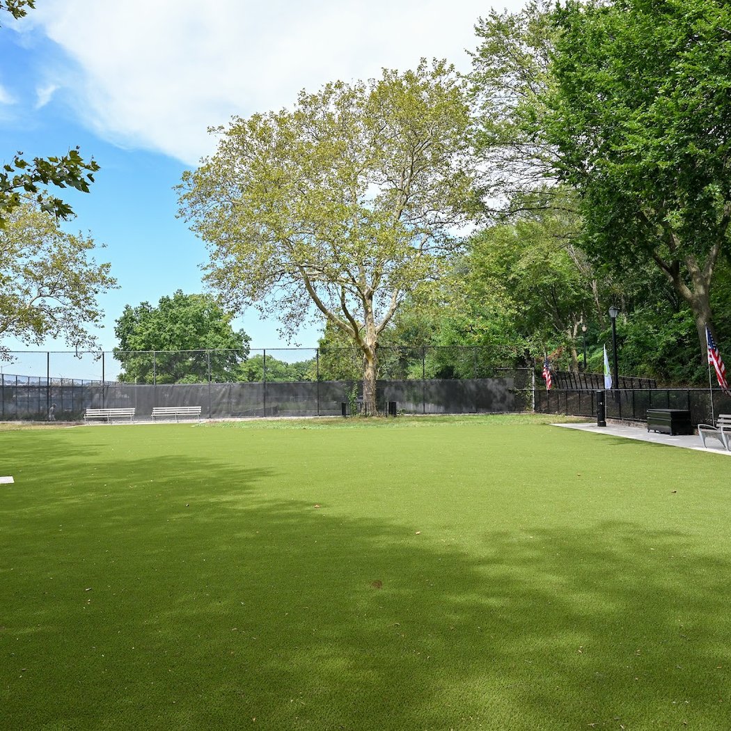 Frank Decolvenaere Dog Run 2